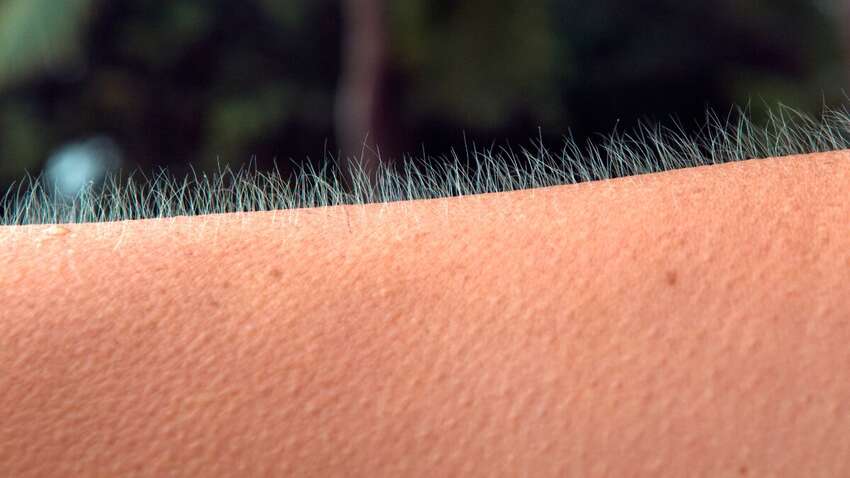 Прислушайтесь к сигналам вашей кожи: новое открытие ученых