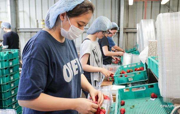 В Австралии в ягодах клубники нашли иглы 