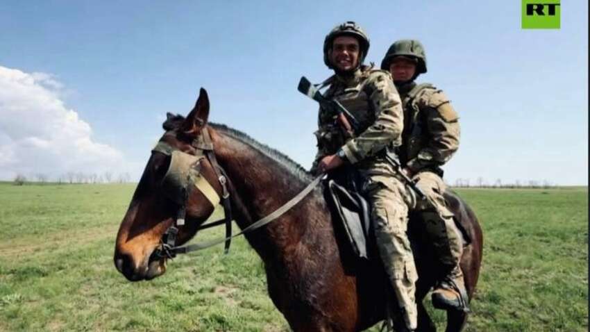 Россиян учат штурмовать на лошадях: что об этом думают украинские воины  Россиян учат штурмовать на лошадях: что об этом думают украинские воины