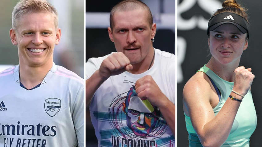 Найбагатші спортсмени України: скільки заробили Усик, Зінченко, Світоліна та інші