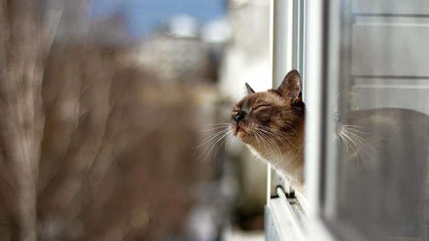 Февраль начнется изменением погоды: к чему готовиться украинцам