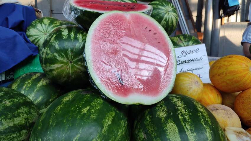 На полях Херсонщины пропадают спелые арбузы (ВИДЕО)