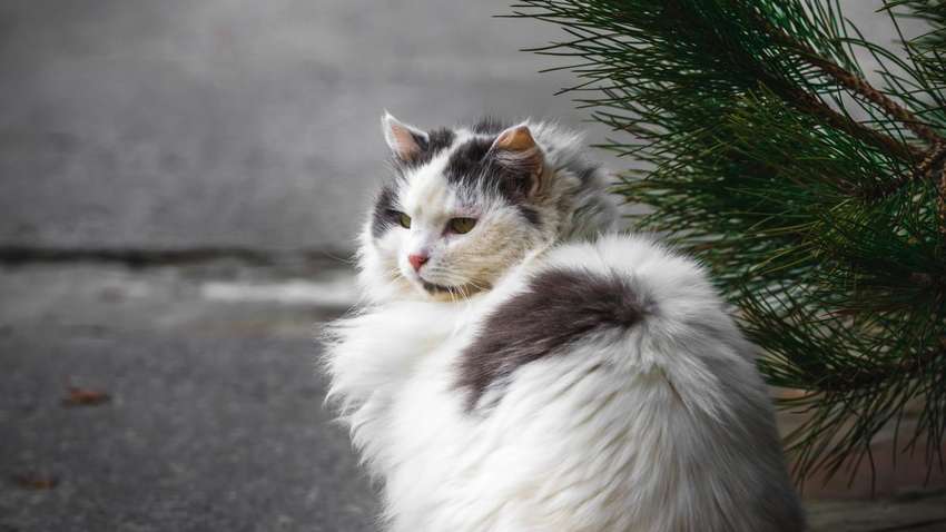 Погода в Україні на середу, 13 січня