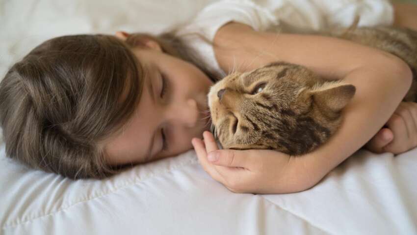 Коти слухають вас уважніше, ніж друзі: експерти розкрили несподівані переваги розмов із пухнастими