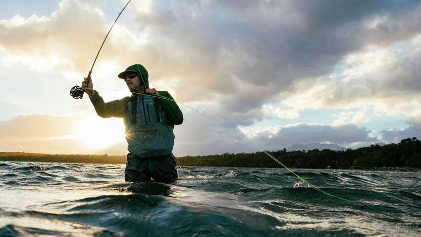 Топ-3 спінінга для новачків: бюджетні варіанти