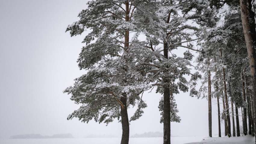 Какой церковный праздник 13 декабря: в этот день ни в коем случае нельзя нарушать один запрет