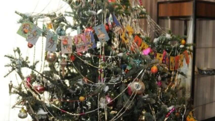 В каких городах планируется отмена комендантского часа на новогодние праздники В каких городах планируется отмена комендантского часа на новогодние праздники