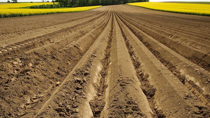 Ексруководителю одного из региональных геокадастров объявили о подозрении в хищении земли Ексруководителю одного из региональных геокадастров объявили о подозрении в хищении земли