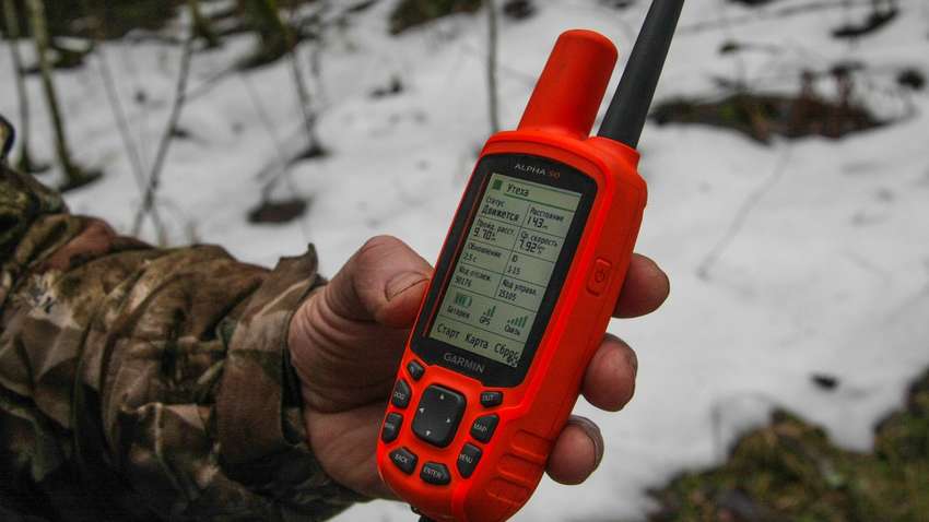 Всегда на связи: тройка лучших смартфонов для охотников