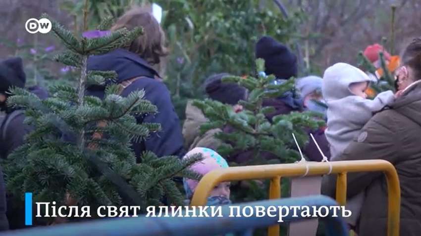 Три идеи новогодней эко-елки для дома – не пострадает ни одно дерево