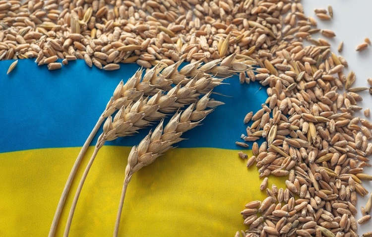 Шмыгаль рассказал, как Украина ответит на ограничения импорта Польшей и Венгрией