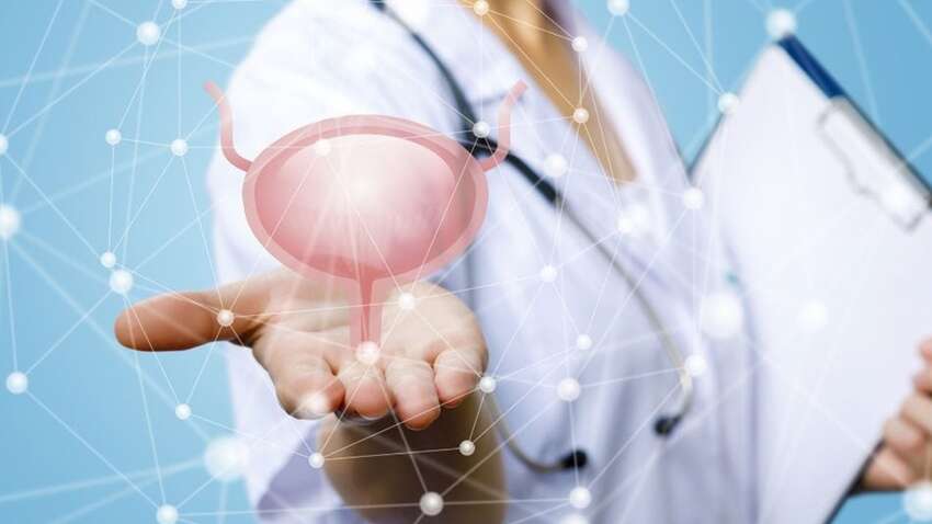 Что нужно есть, чтобы не заболеть раком мочевого пузыря