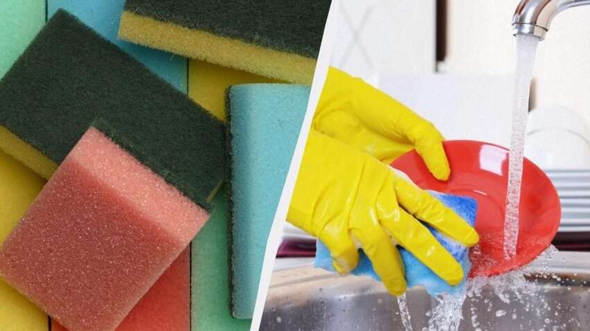 Чому губки для миття посуду різних кольорів: справжня причина вражає Чому губки для миття посуду різних кольорів: справжня причина вражає