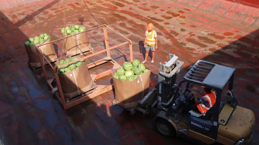 Стало відомо, які країни експортують херсонські кавуни