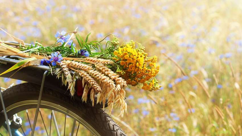 Літні свята: що відзначаємо та уникаємо 17 червня Літні свята: що відзначаємо та уникаємо 17 червня