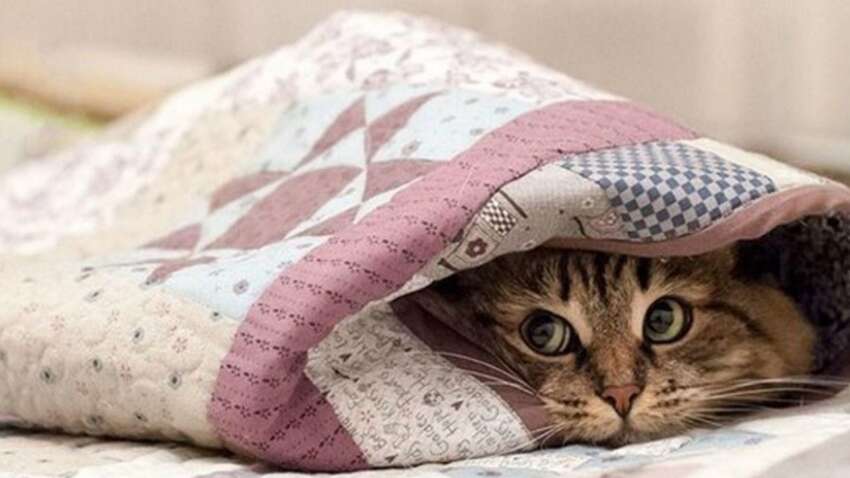 Погода снова нанесет страшный удар по Украине: синоптики напугали заявлением