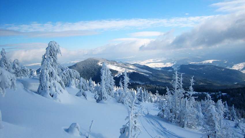 Украинский курорт засыпало снегом (фото)