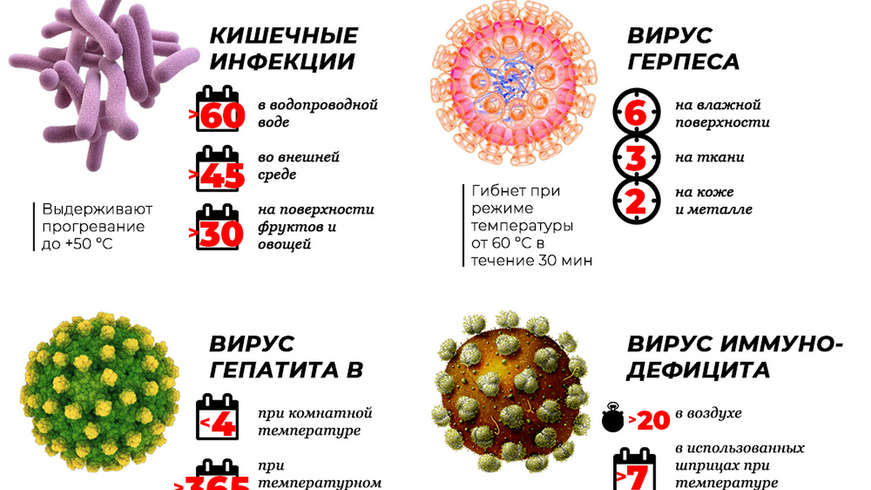 Вирус живая природа. Вирусы живые или нет. Вирусы вне живого организма. Почему вирусы не живые. Сколько живут вирусы вне организма.