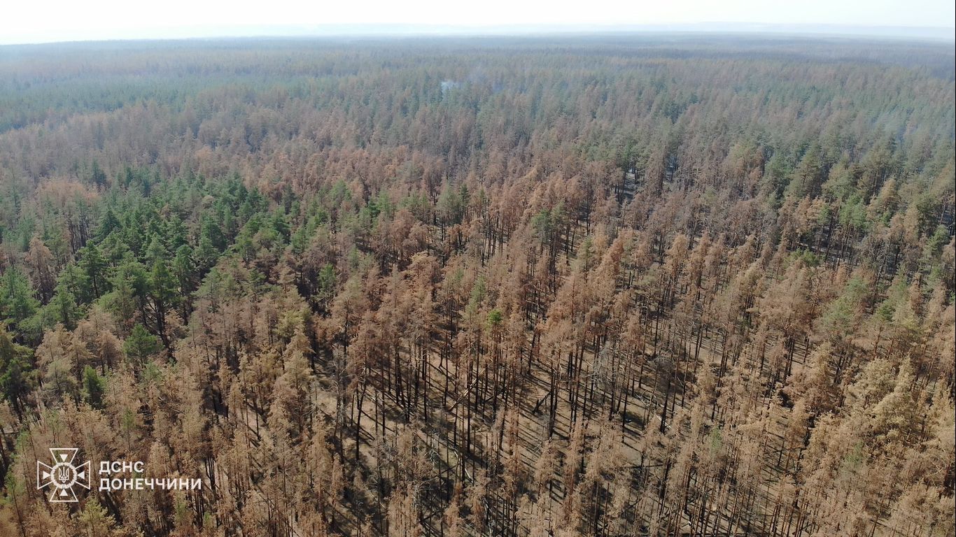 На Донеччині ліквідували наймасштабнішу пожежу: наслідки (ФОТО) - фото 2