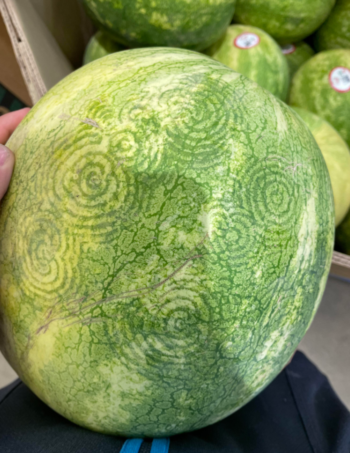 Людей по всьому світу налякали ”інопланетні” мітки на кавунах: що це таке (ФОТО) - фото 2