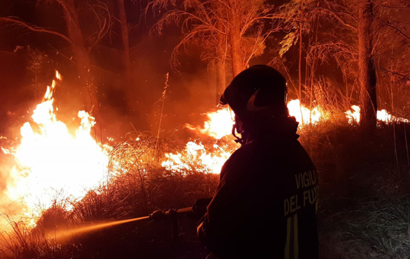 Италию охватили масштабные лесные пожары (ФОТО, ВИДЕО) - фото 2