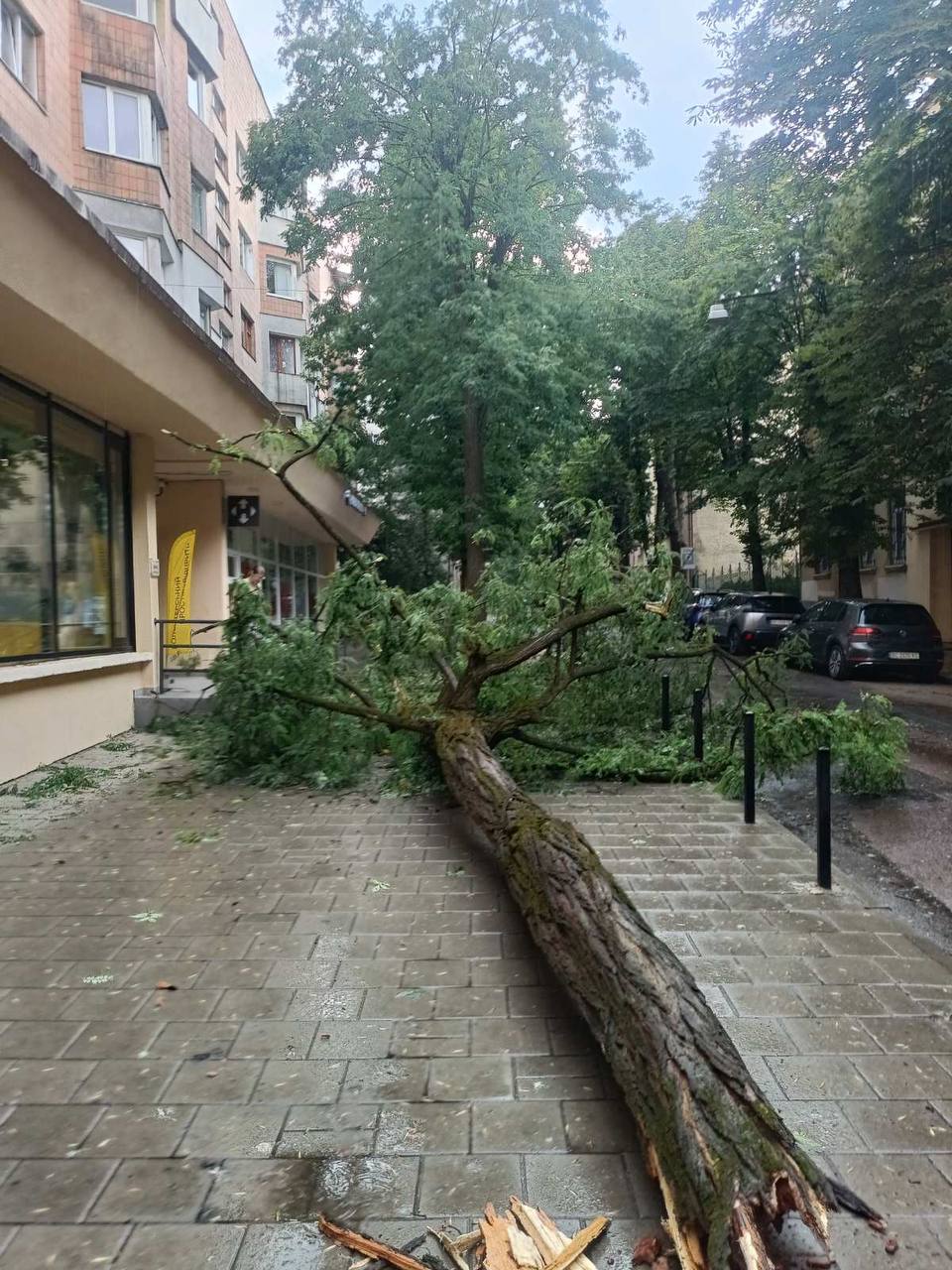 Шквал и гроза во Львове: 6-летний ребенок попал в реанимацию из-за удара молнии - фото 2