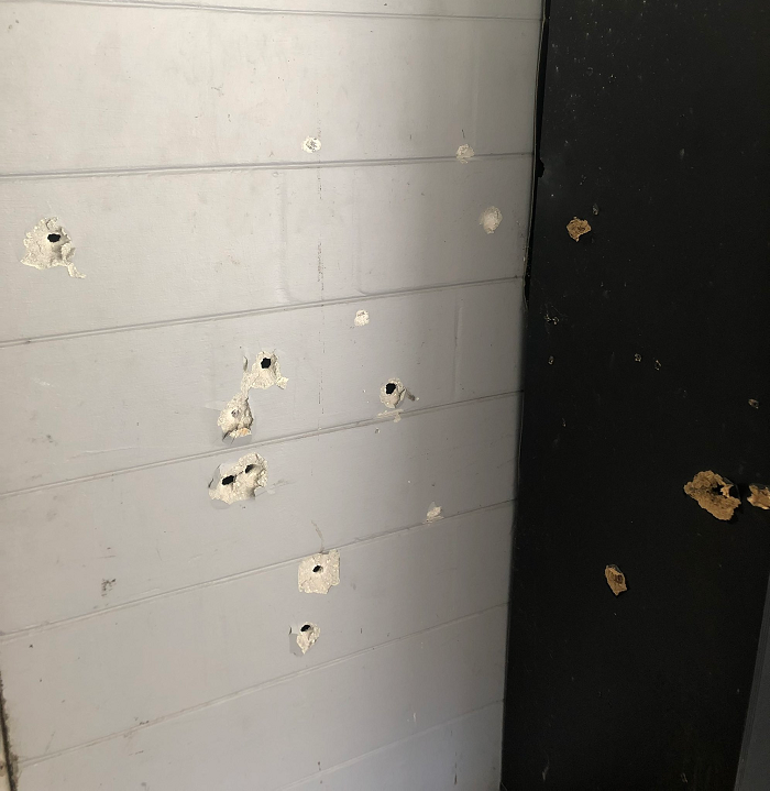 Даже дети получили пули: в США мужчина устроил стрельбу в доме - фото 5