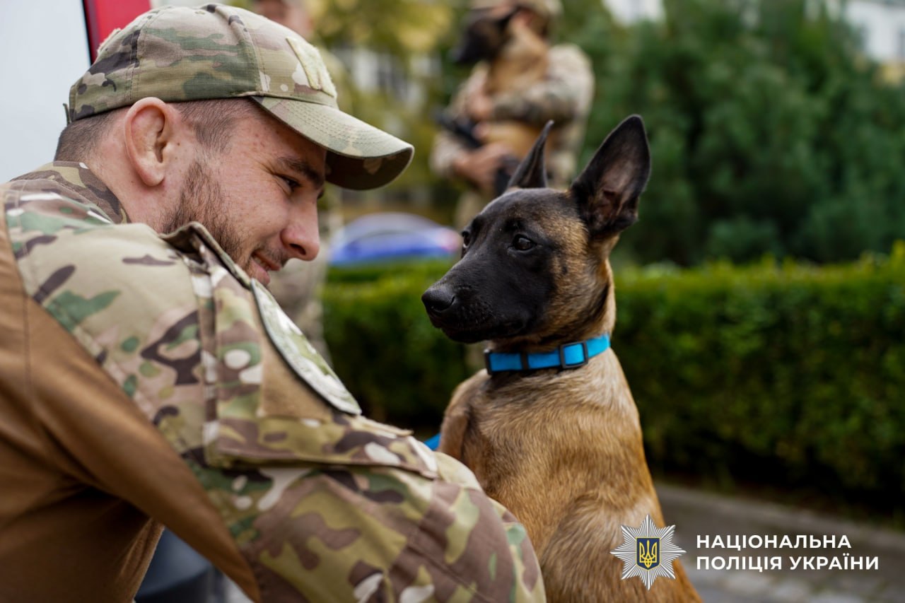 Пес Патрон не один: еще почти 900 четырехлапых ежедневно спасают жизнь украинцев - фото 2