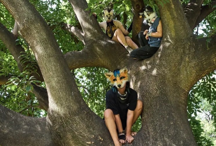 Квадроберы уже вчерашний день: в Аргентине стремительно распространяется движение подростков, ”чувствующих себя животными” - фото 2