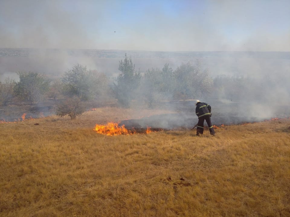 Под Николаевом горят десятки гектаров леса  - фото 3