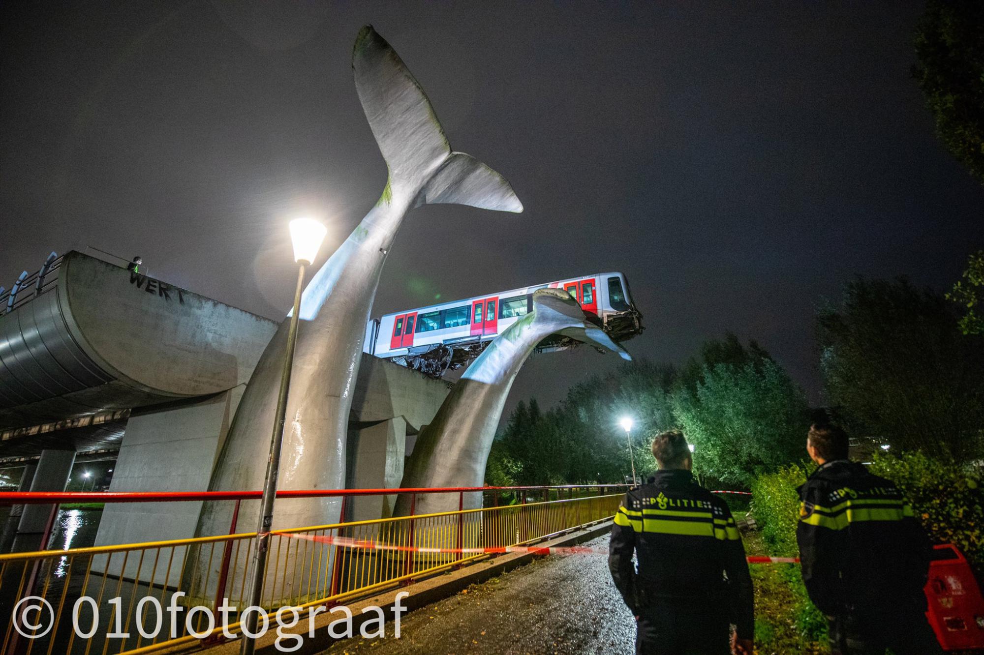 В Роттердаме хвосты китов спасли поезд от крушения - фото 3