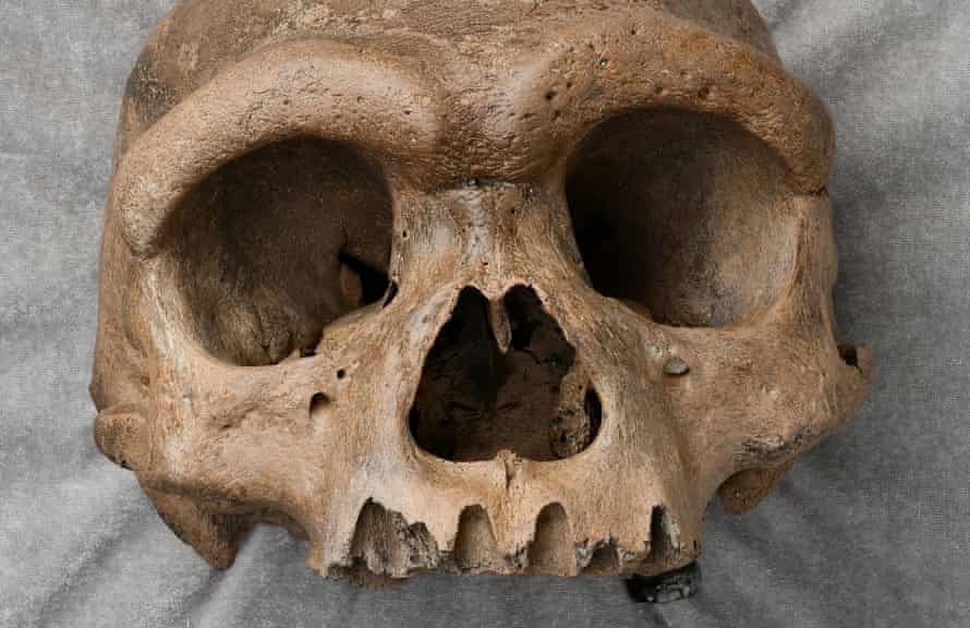 В Китае обнаружили череп «человека-дракона» (ФОТО) - фото 2