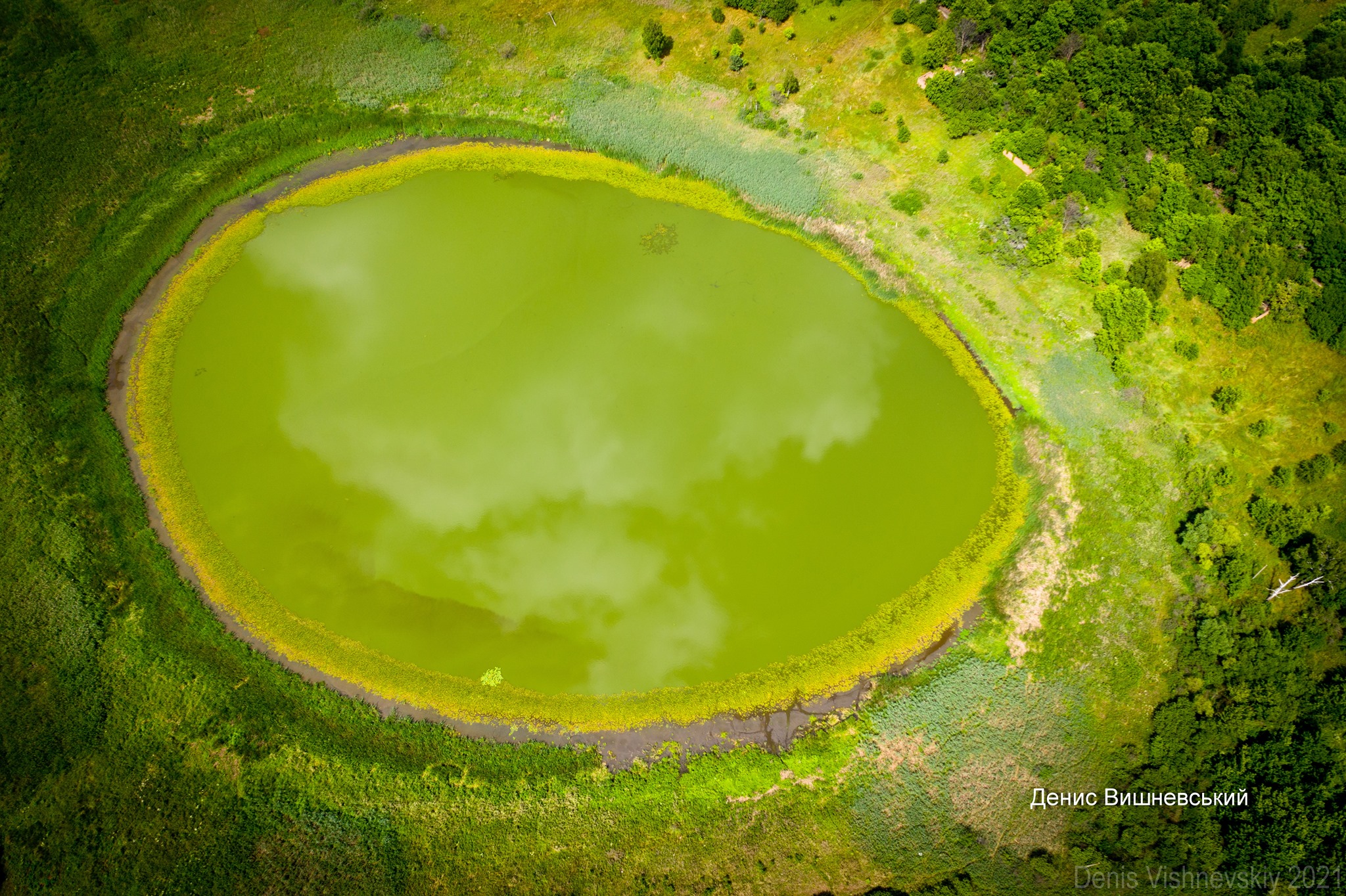 Ідеальне озеро: вчені випадково наткнулися на незвичайну знахідку в Чорнобилі (ФОТО) - фото 3
