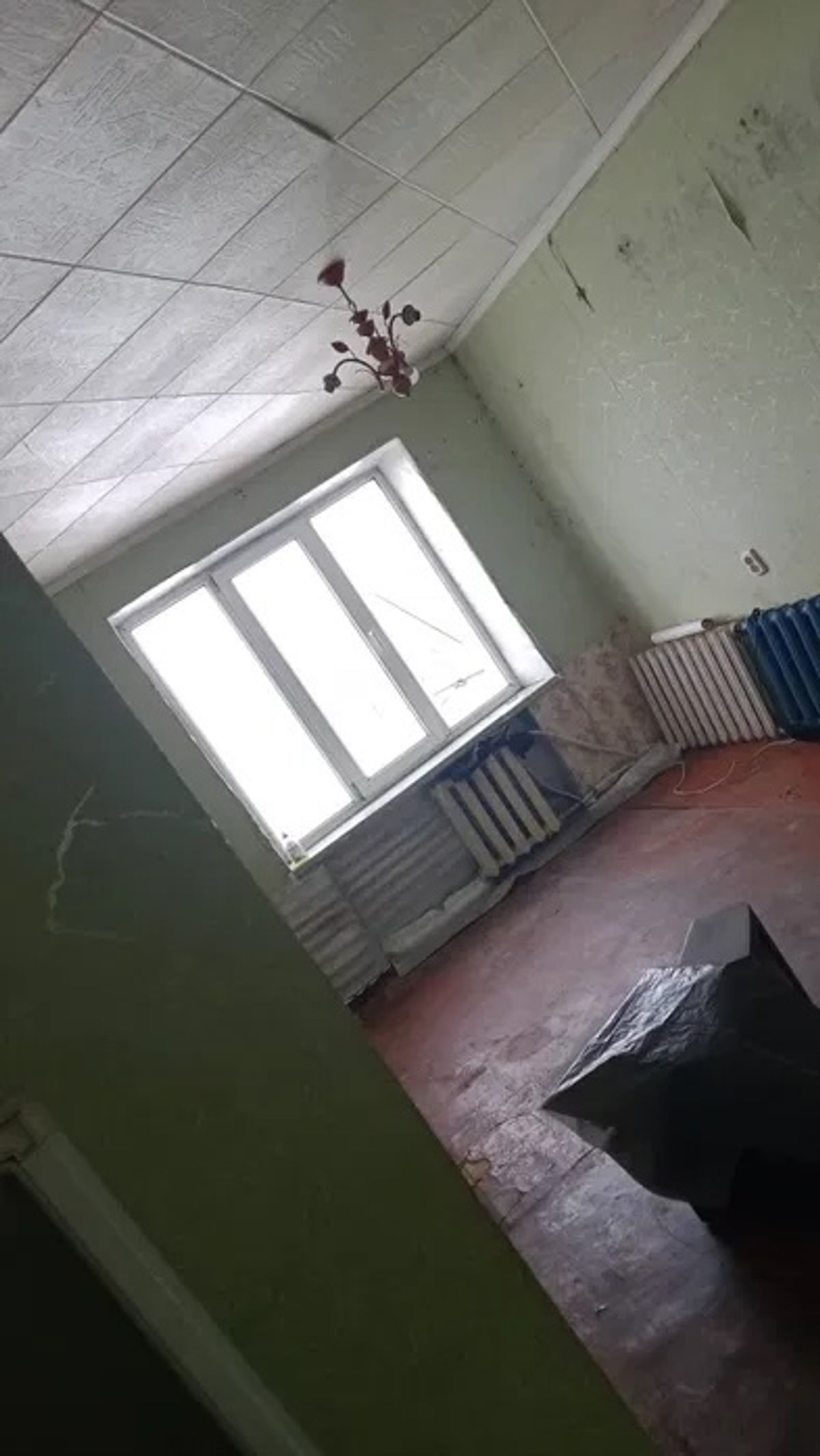 ”Дешевле телефона”: в Украине продают квартиру всего за 25 тысяч гривен - фото 2 ”Дешевле телефона”: в Украине продают квартиру всего за 25 тысяч гривен - фото 2