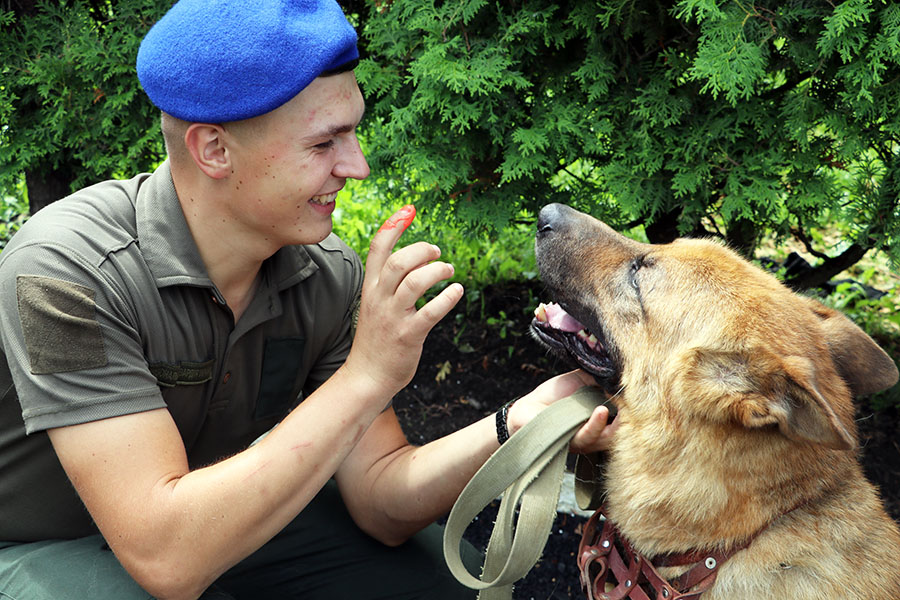 Проєкт «Календар війни»: у Львові відбувся парад службових собак - фото 2