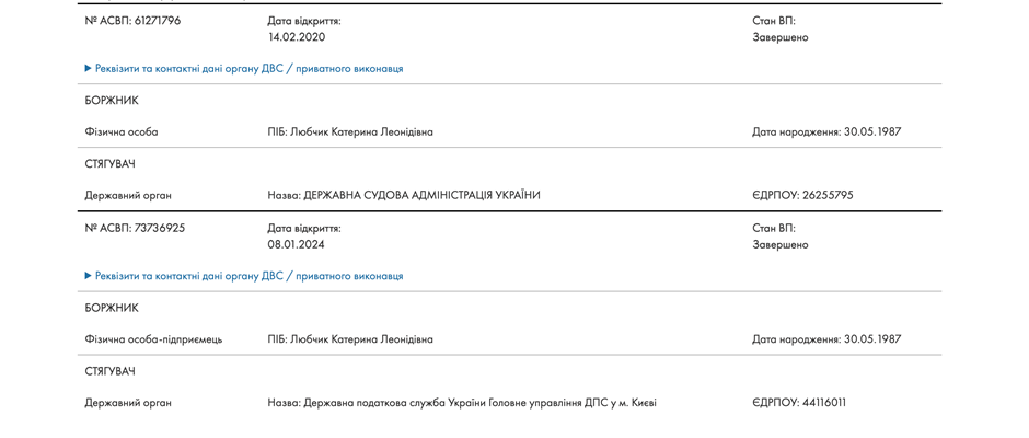 «Лісопильники»-3: «Юридичним мостом» до мільярдних схем на дронах може бути дружина Куршутова - фото 2