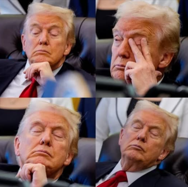 Білий дім різко відреагував на жарти, що Трамп заснув під час важливої зустрічі - фото 2