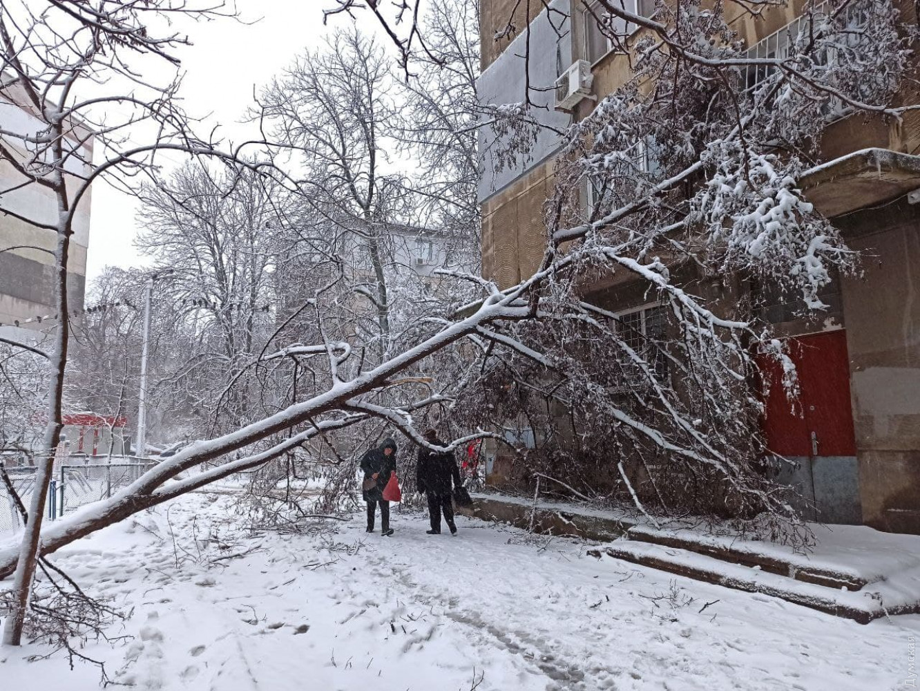 Цілодобові снігопади в Одесі: як місто справляється з негодою (ФОТО, ВІДЕО) - фото 3