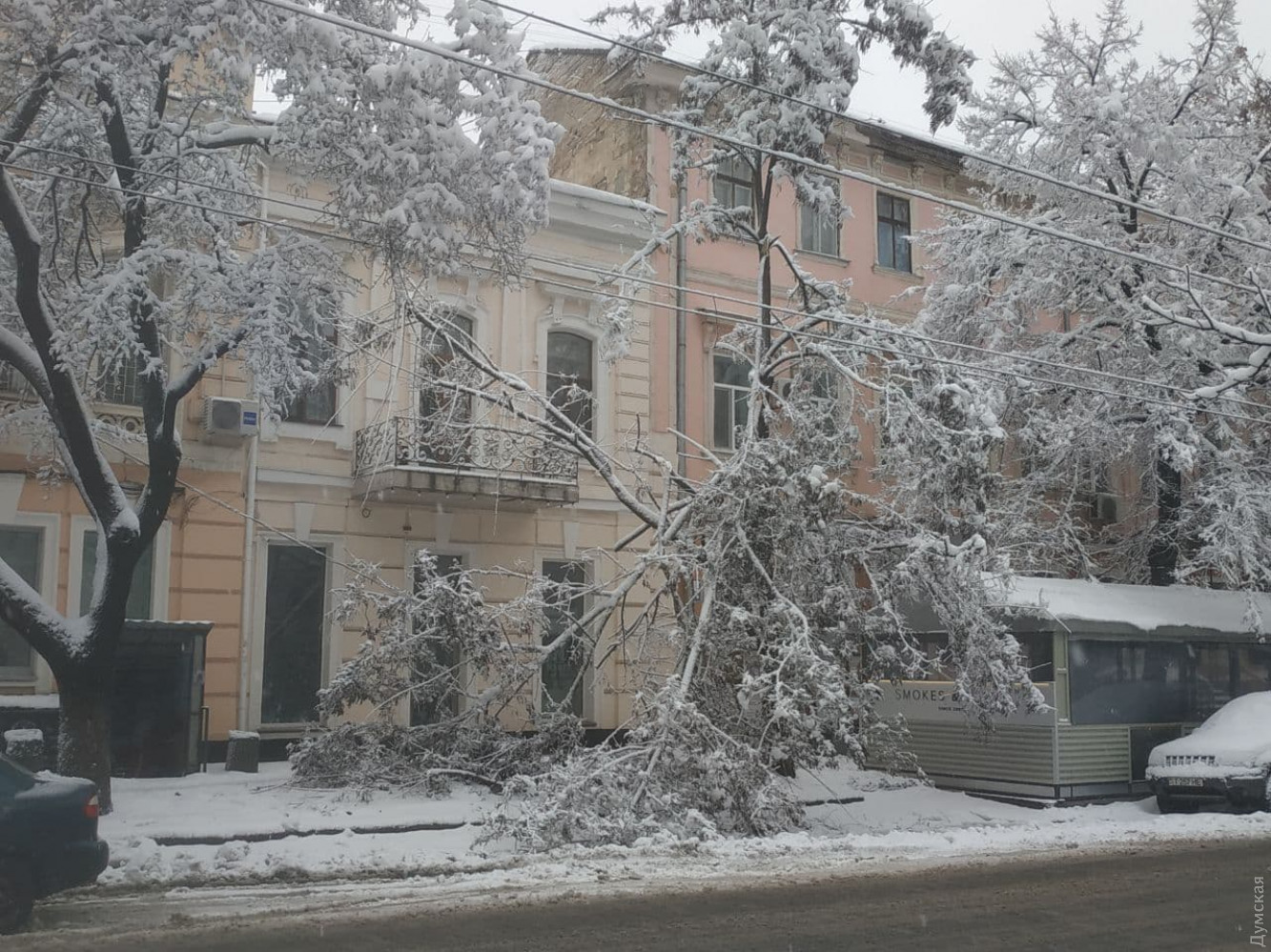Круглосуточные снегопады в Одессе: как город справляется с непогодой (ФОТО, ВИДЕО) - фото 2