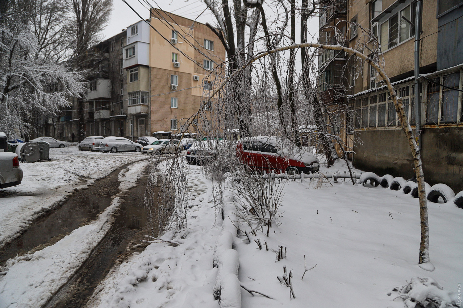 Цілодобові снігопади в Одесі: як місто справляється з негодою (ФОТО, ВІДЕО) - фото 4