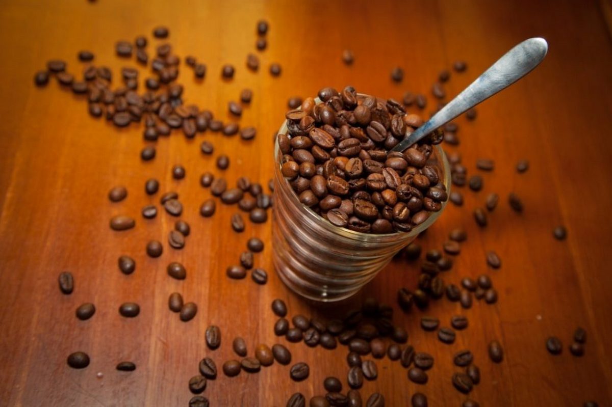 Экспортировать кофе. Кофе влияет на почки. Кофе эффект на почки. Воздействие кофе на почки.