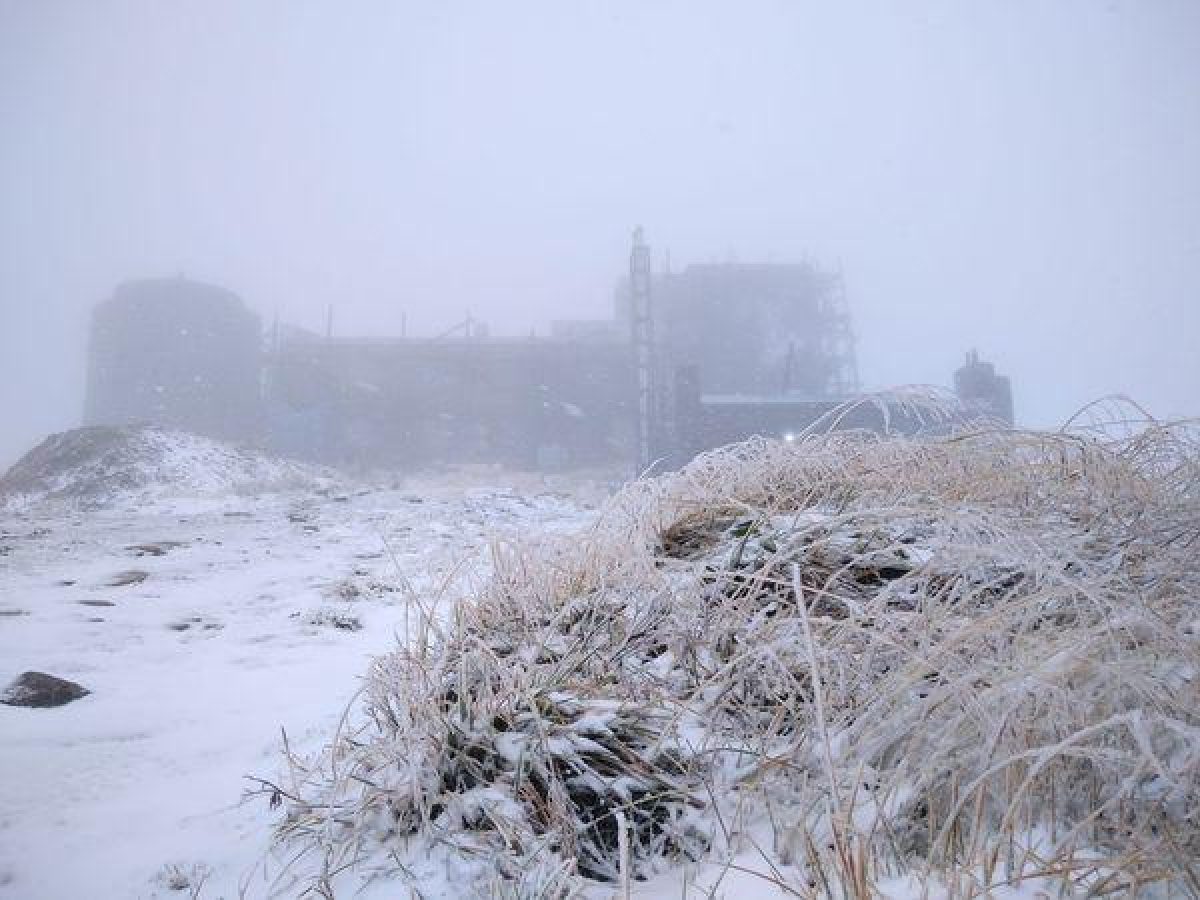 В Украине выпал первый снег (ФОТО) - фото 4