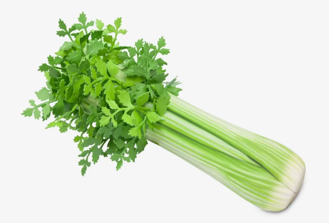 Смелый сюрреализм: Moschino представил аксессуары, имитирующие обычные бытовые вещи - фото 2 Смелый сюрреализм: Moschino представил аксессуары, имитирующие обычные бытовые вещи - фото 2