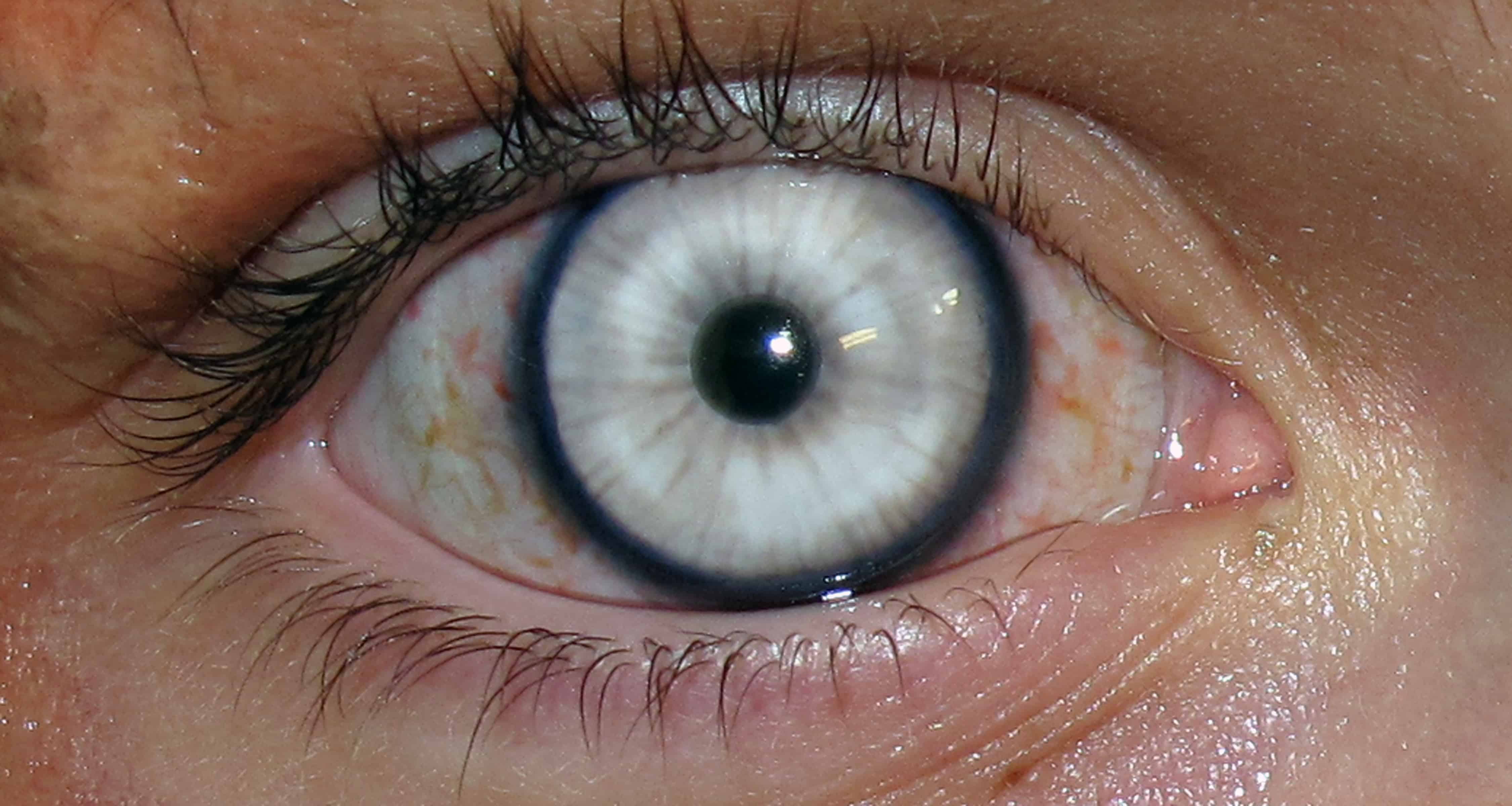 На Майдане мародёрствуют «титушки» (ФОТО)