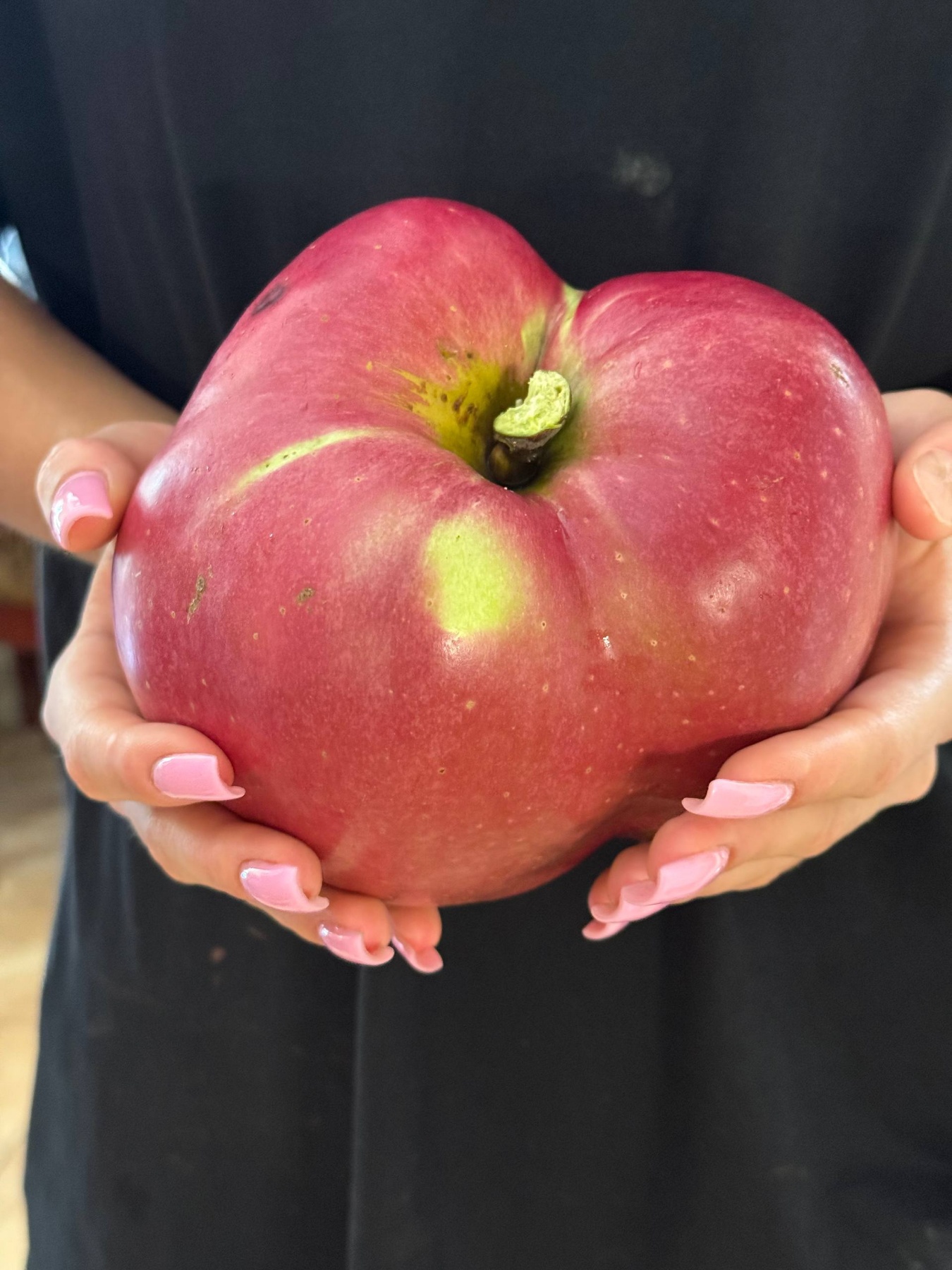 Размером с арбуз: киевлянин вырастил самое большое яблоко в Украине (ФОТО) - фото 2