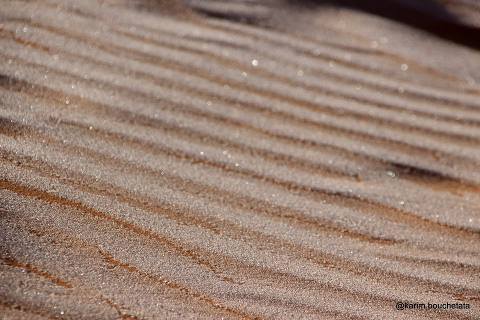 У пустелі Сахара випав сніг (ФОТО) - фото 2