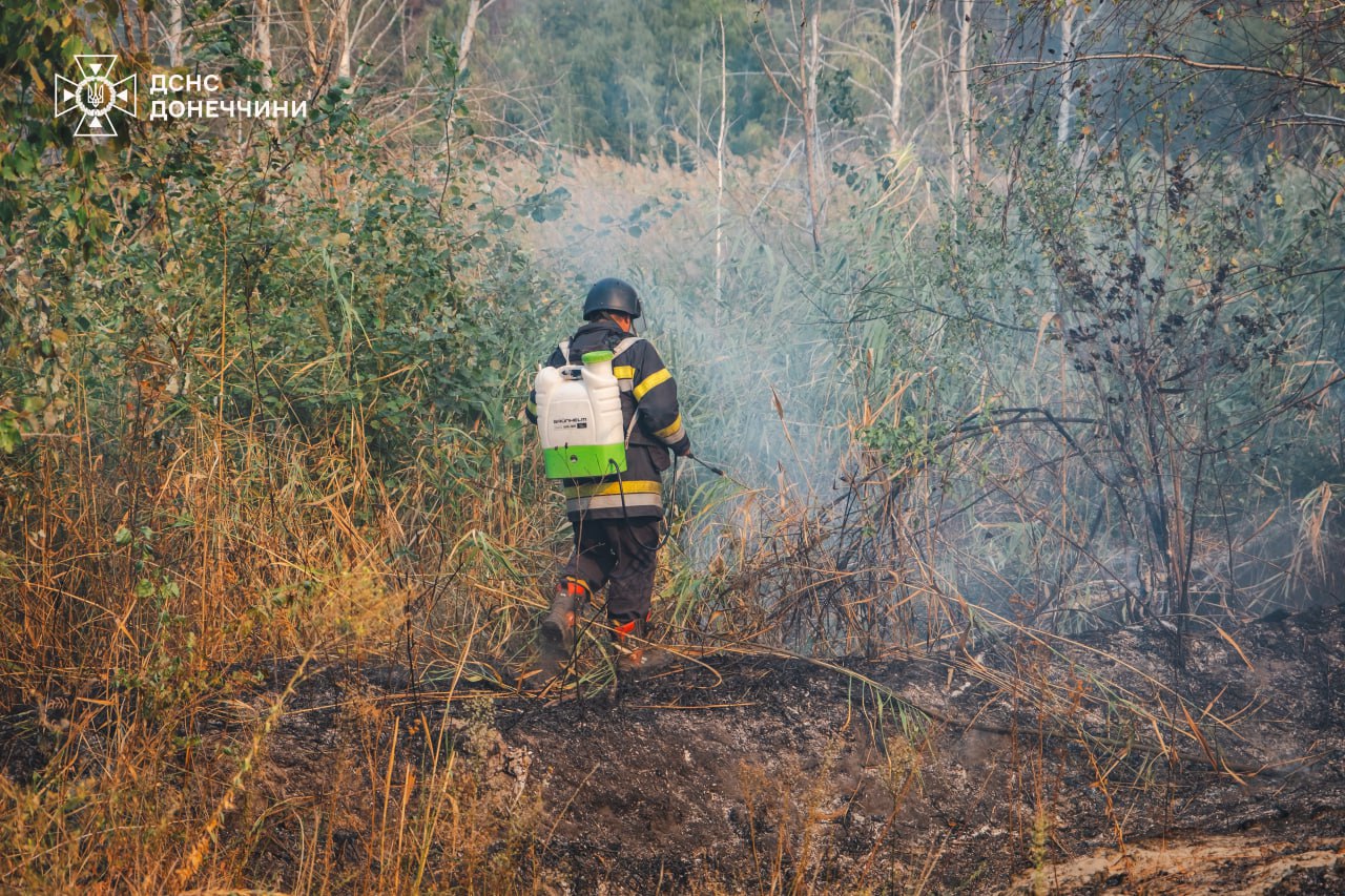 Донеччина у вогні: пожежа розповсюджується з нереальною швидкістю - фото 2