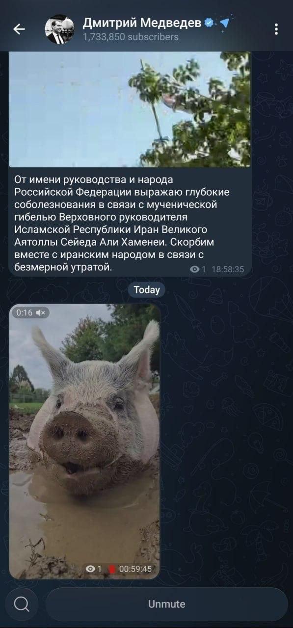 Медведев опубликовал видео с рыжей свиньей и быстро удалил его: детали скандала - фото 2 Медведев опубликовал видео с рыжей свиньей и быстро удалил его: детали скандала - фото 2