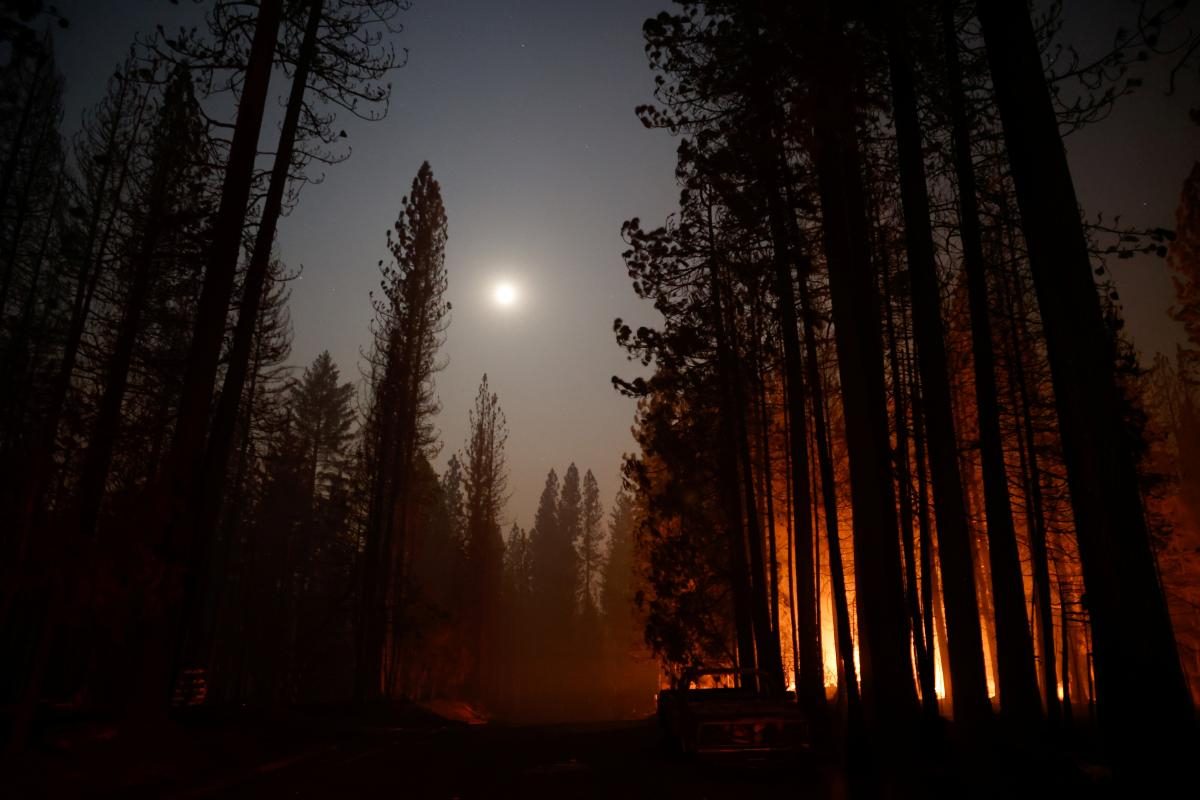 У США лісові пожежі знищують все на своєму шляху: евакуйовані тисячі людей (ФОТО) - фото 2
