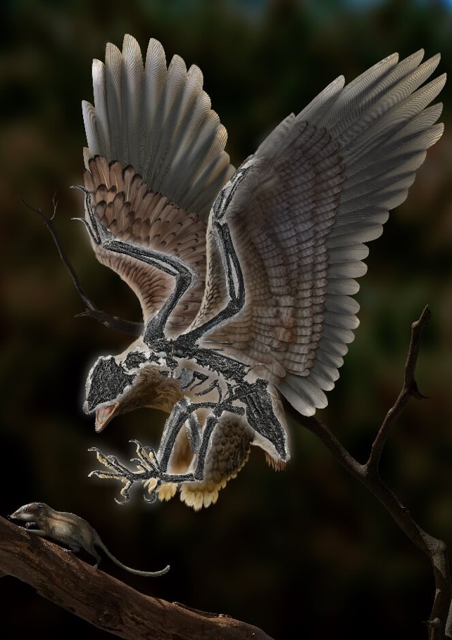 Ученые обнаружили жуткую древнюю птицу с головой динозавра (ВИДЕО) - фото 3